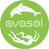 avasol-logo-color-320x320